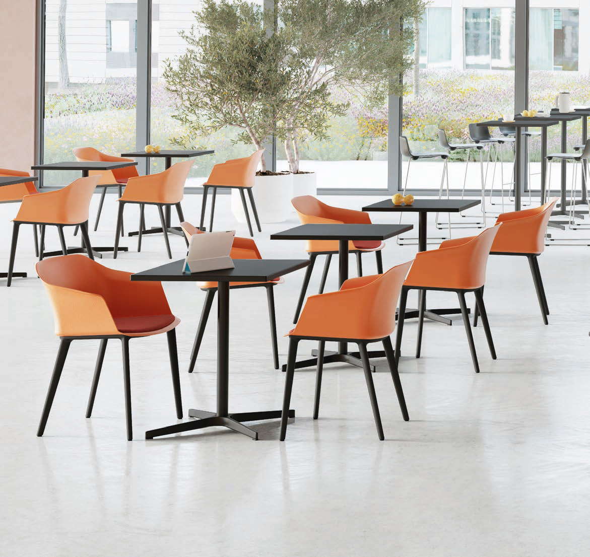 Tubac_espace-reposant